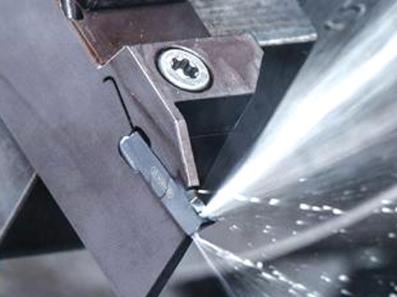 MQL微量半岛（中国）